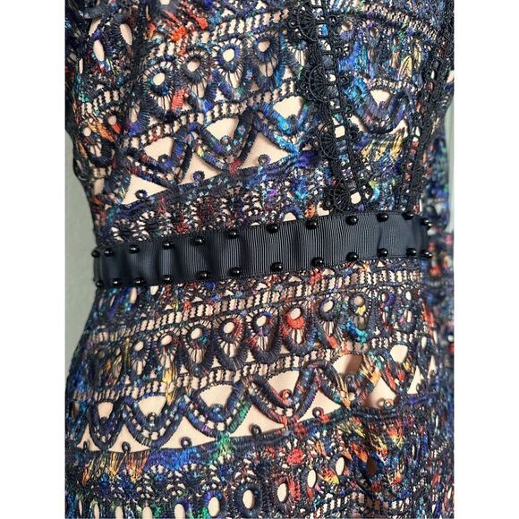 NEW Saloni Rio Velvet Trimmed Corded Lace Multicolored Dress perfect for holiday - Picture 3 of 12